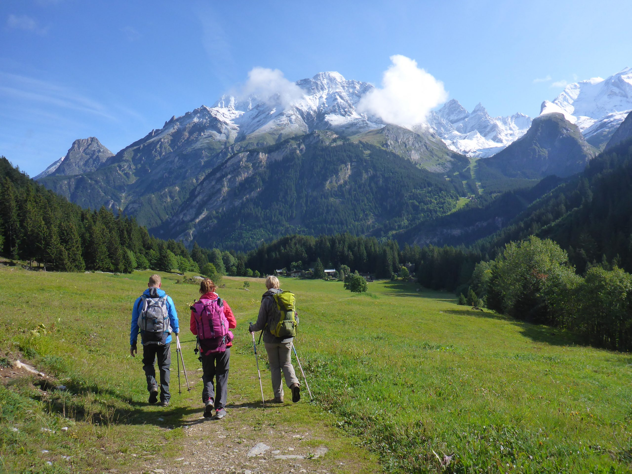 Summer in the Alps