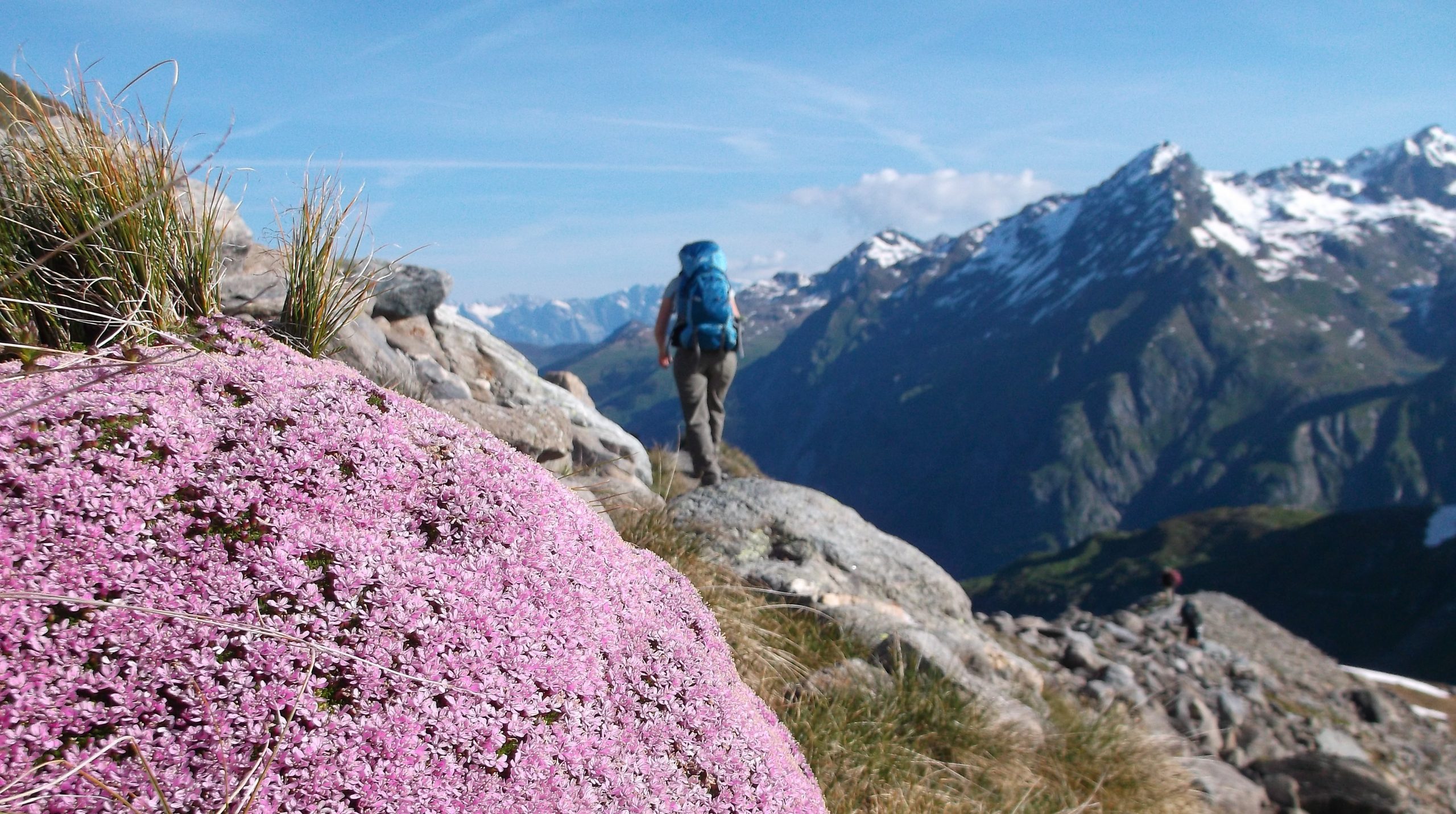 Alpenventures UNGUIDED