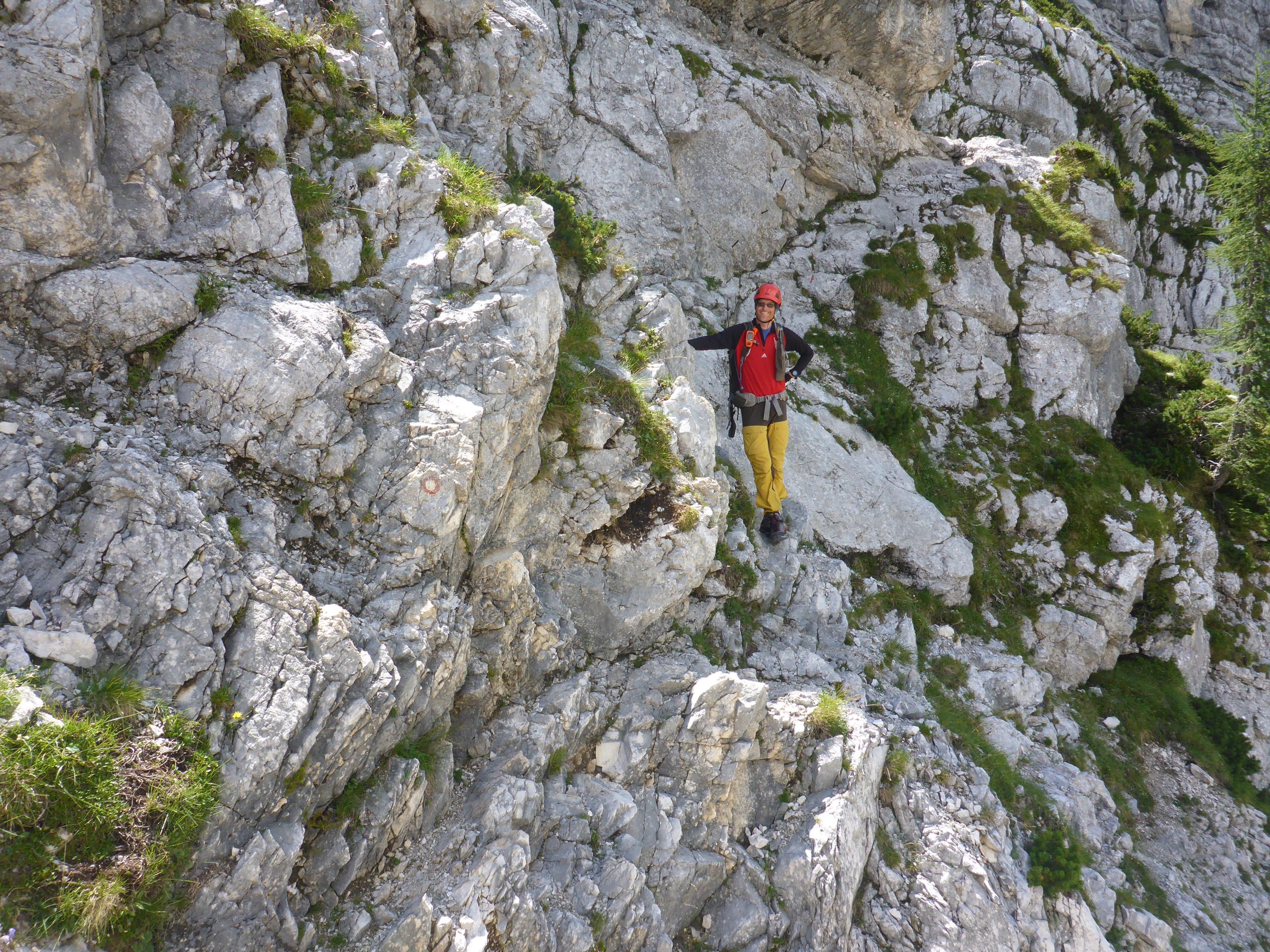 Slovenia scrambling