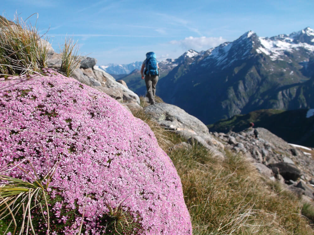 Alpenventures UNGUIDED